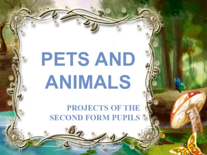 PETS AND ANIMALSPROJECTS OF THE SECOND FORM PUPILS