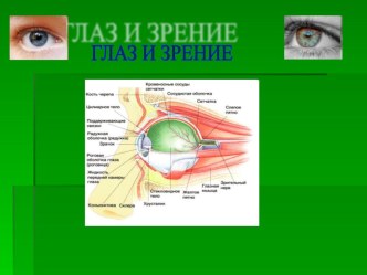 Презентация к интегрированному уроку Глаз и зрение