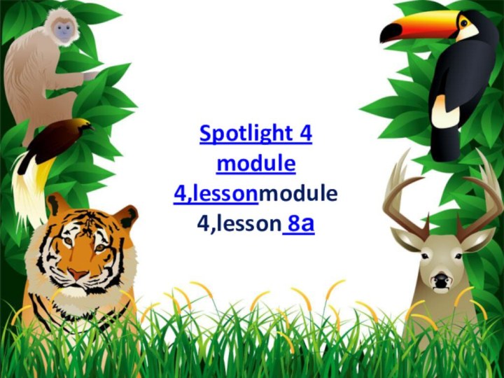 Spotlight 4 module 4,lessonmodule 4,lesson 8а