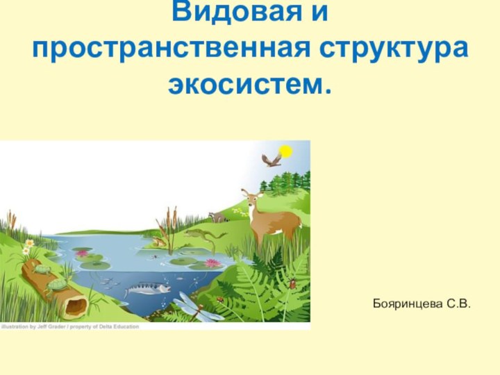 Видовая и пространственная структура экосистем.Бояринцева С.В.