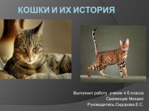 Презентация на научно-практическую конференцию Кошки