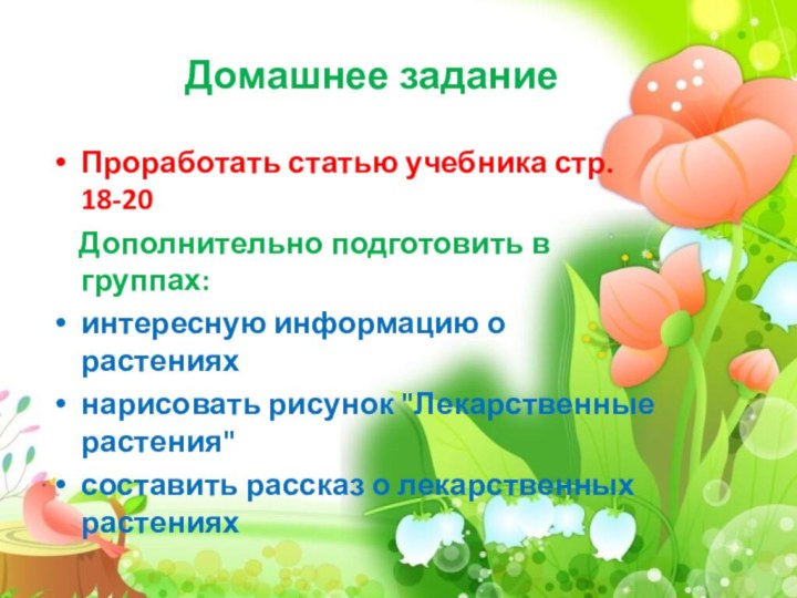 Домашнее заданиеПроработать статью учебника стр. 18-20  Дополнительно подготовить в группах: интересную