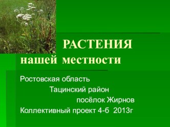 Презентация Растения нашей местности Коллективный проект 4-б класса 2013год