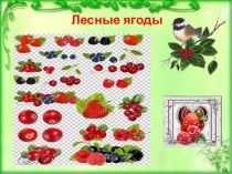 Презентация по ознакомлению с окружающим и природным миром Лесные ягоды