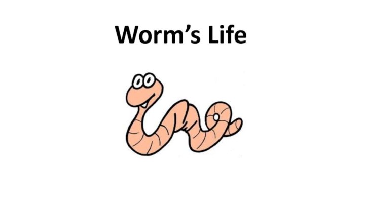 Worm’s Life