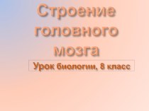 Презентация по биологии на тему :Строение головного мозга