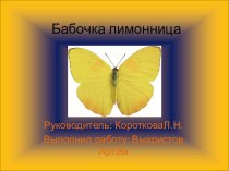 Презентация Бабочка-лимонница по окружающему миру