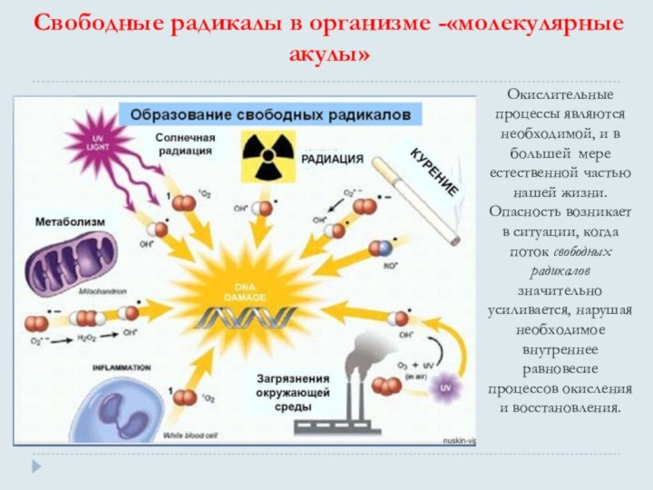 Свободные радикалы картинки