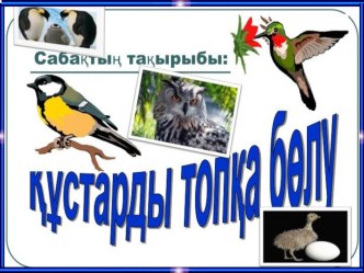 Құстарды топқа бөлу ашық сабақ