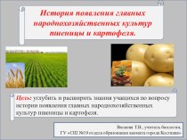 Презентация по биологии на тему История появления главных народнохозяйственных культур картофеля (6класс).