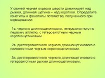 Презентация по биологии на тему Хромосомная теория наследственности (10 класс)