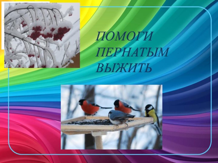 ПОМОГИ ПЕРНАТЫМ ВЫЖИТЬ