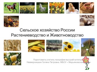 Презентация  Сельское хозяйство России..