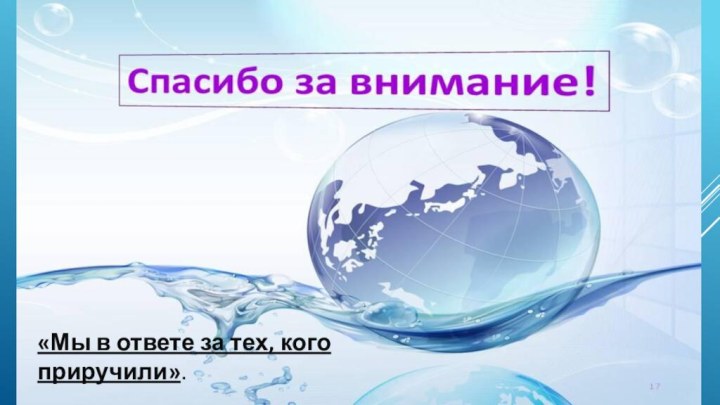 «Мы в ответе за тех, кого приручили».