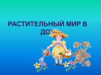 Растительный мир в ДОУ