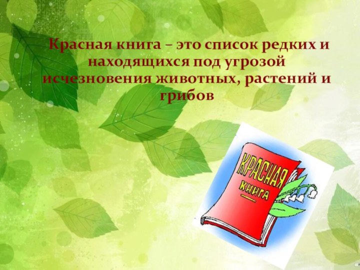 Красная книга – это список редких и находящихся под угрозой исчезновения животных, растений и грибов