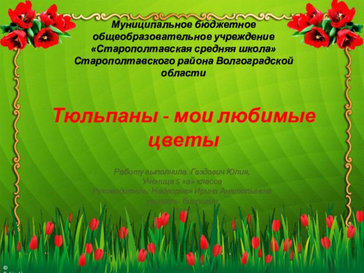 Работу выполнила :Газдович Юлия,Ученица 5 «а» класса Руководитель: Надворная Ирина Анатольевнаучитель биологии2017Муниципальное