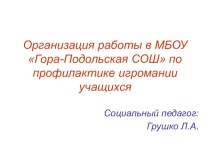 Организация работы в ОУ по профилактике игромании учащихся