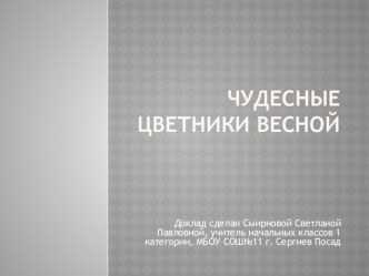 Презентация Чудесные цветники весной