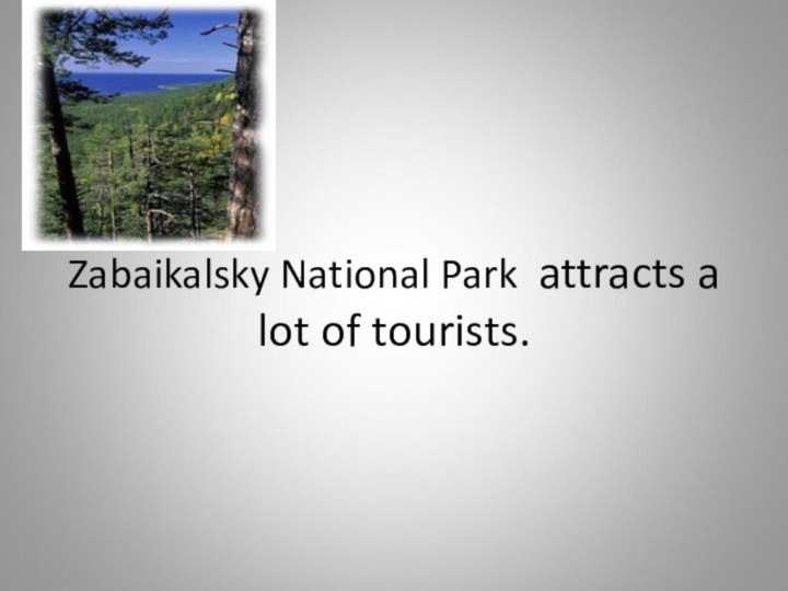 Zabaikalsky National Park attracts a lot of tourists.