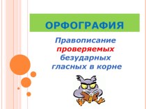 Презентация по русскому языку в 5 классе на тему Правописание проверяемых гласных в корне