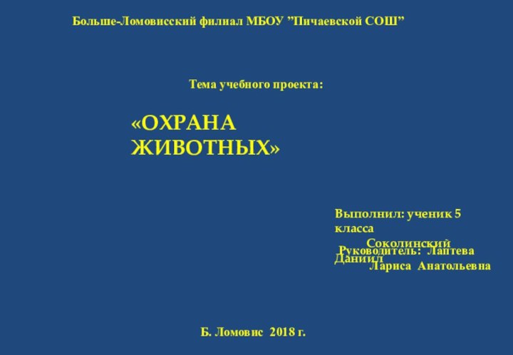 Больше-Ломовисский филиал МБОУ ”Пичаевской СОШ”Руководитель: Лаптева     Лариса Анатольевна