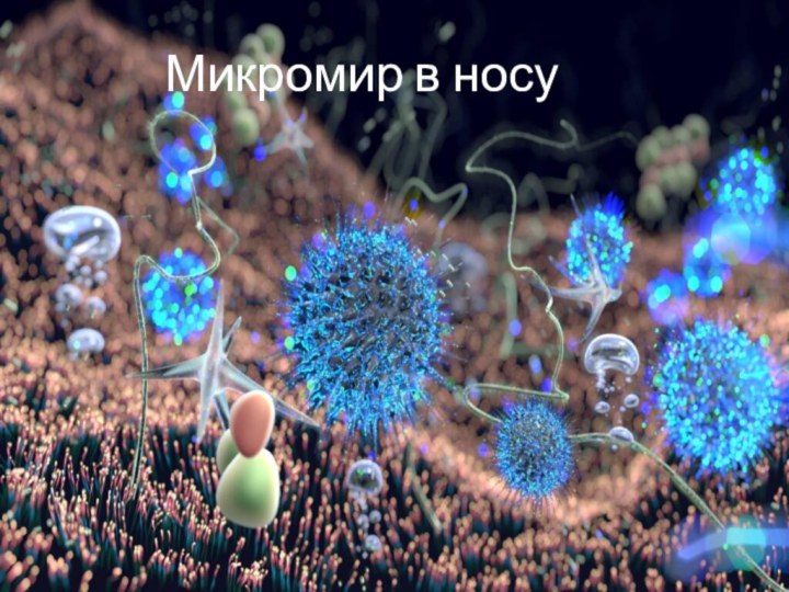 Законы микромира. Микромир. Микромир под микроскопом. Микромир бактерии. Макро и микромир.