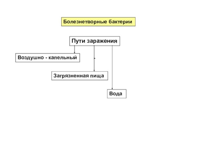 Болезнетворные бактерииПути зараженияВоздушно - капельныйЗагрязненная пища Вода