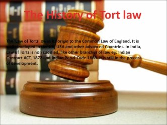 Презентация по английскому языку на тему The history of Tort law
