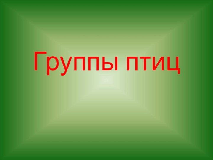 Группы птиц