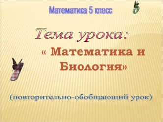 Дельфины и математика