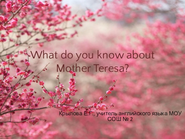 What do you know about  Mother Teresa?