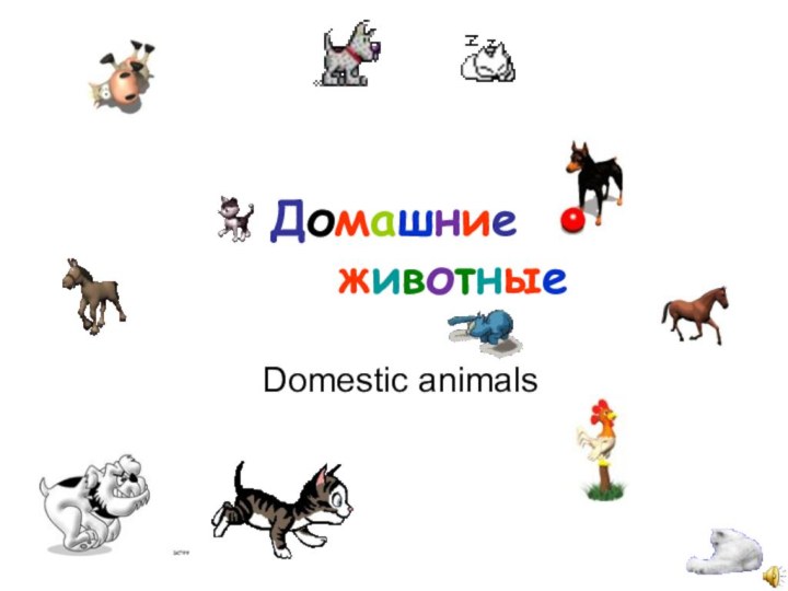 Домашние  			животныеDomestic animals