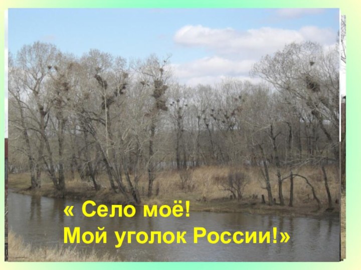 « Село моё!  Мой уголок России!»