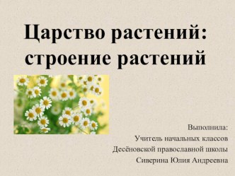 Презентация по окружающему миру на тему Царство растений:строение растений (3 класс)