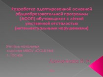 Презентация Проект инклюзивной среды в начальной школе.