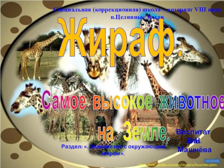 Самое высокое животноена  Земле.Жираф.Специальная (коррекционная) школа – интернат VIII видап.Целинные ЗемлиВоспитательВ.Н.