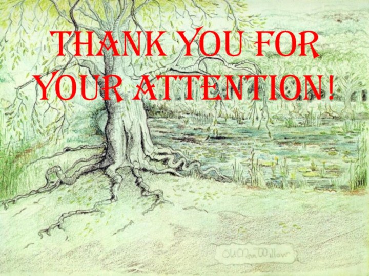 Thank you for your attention!