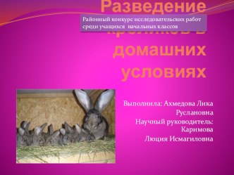 Презентация Разведение кроликов в домашних условиях
