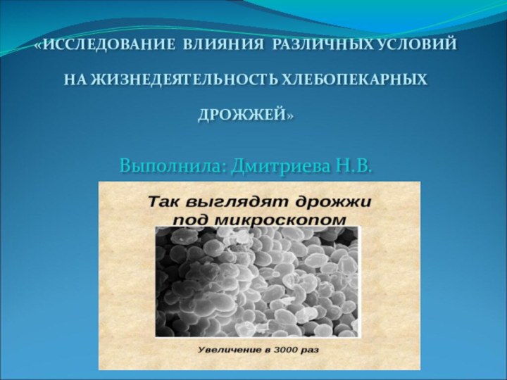 «ИССЛЕДОВАНИЕ ВЛИЯНИЯ РАЗЛИЧНЫХ УСЛОВИЙ НА ЖИЗНЕДЕЯТЕЛЬНОСТЬ ХЛЕБОПЕКАРНЫХ ДРОЖЖЕЙ»Выполнила: Дмитриева Н.В.