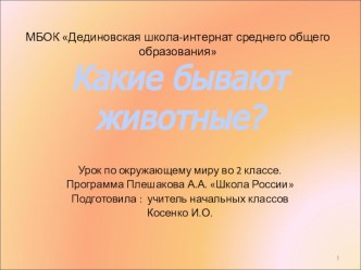 Презентация Какие бывают животные