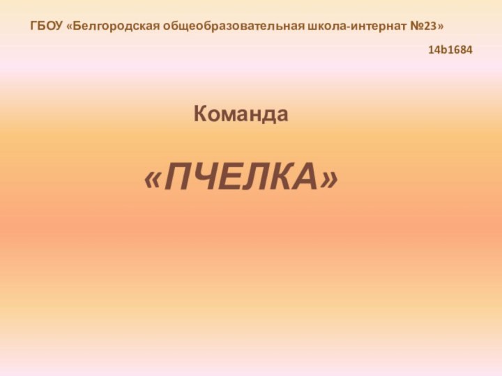 ГБОУ «Белгородская общеобразовательная школа-интернат №23»14b1684Команда «ПЧЕЛКА»