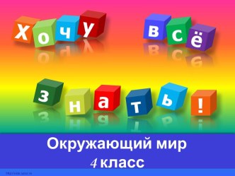 Презентация по окружающему миру Жизнь пресного водоема