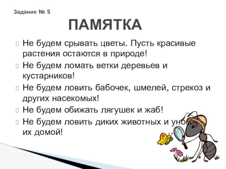 Не будем срывать цветы. Пусть красивые растения остаются в природе!Не будем ломать