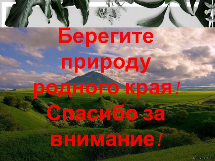 Берегите природу родного края!Спасибо за внимание!