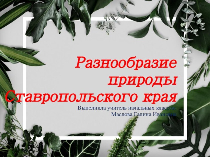 Разнообразие природы  Ставропольского края Выполнила учитель