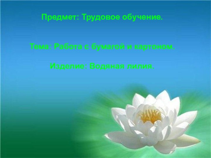 Предмет: Трудовое обучение.    Тема: Работа с бумагой и картоном.  Изделие: Водяная лилия.