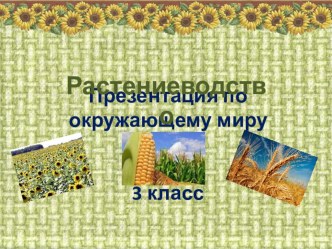 Презентация по окружающему миру на тему Растениеводство (3 класс)