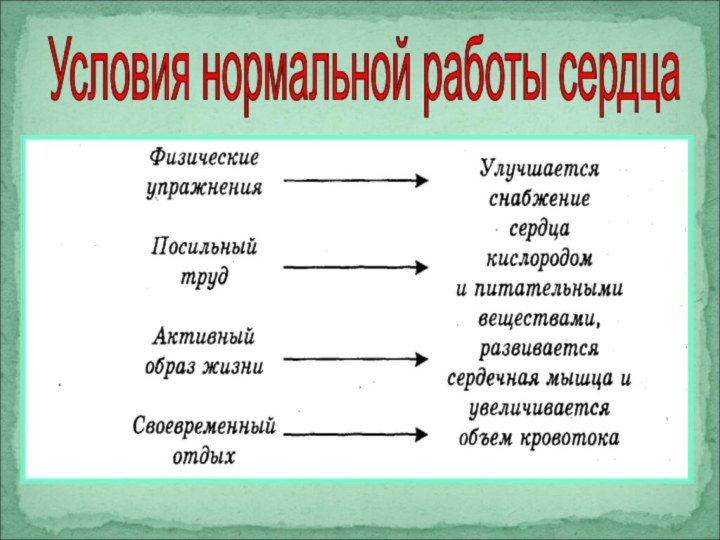 Условия нормальной работы сердца