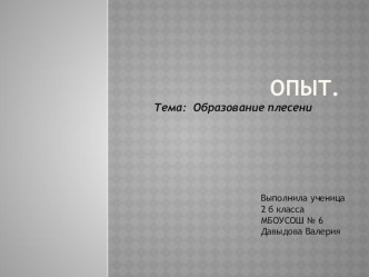 Презентация по окружающему миру на тему  Развитие плесени ( 2 класс)